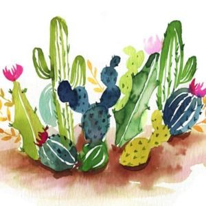 Meet your Posher, B.